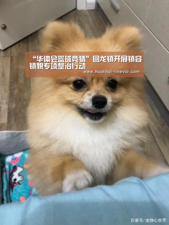 华体会足球竞猜