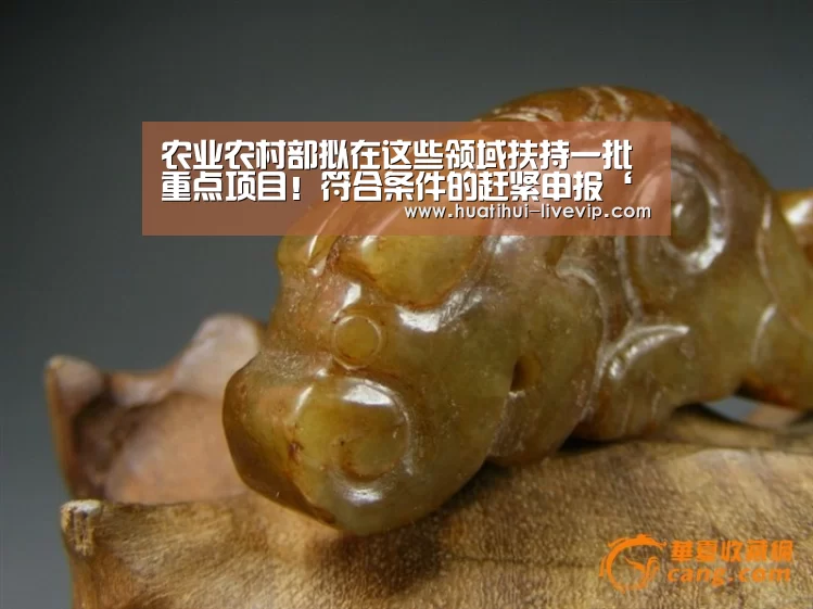 华体会足球竞猜